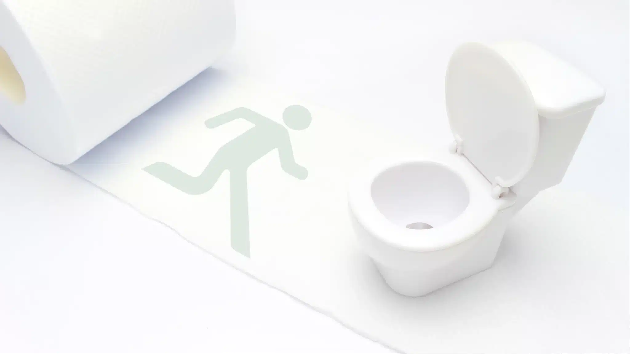 Coût des toilettes sèches publiques