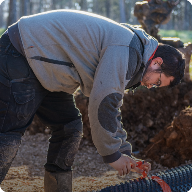 Image separateur (2)